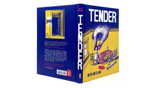 The cover of Beth Hetland's Tender