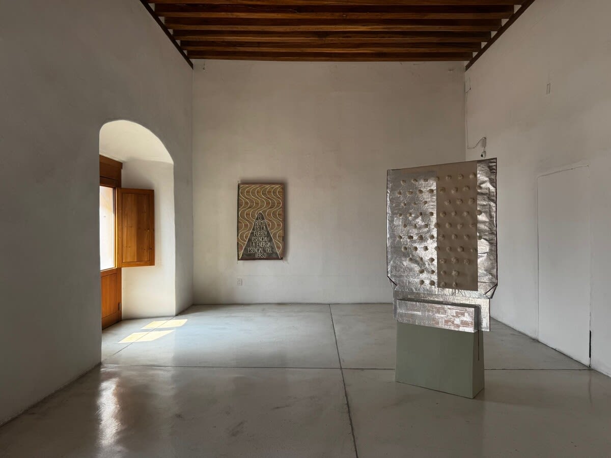 Installation view of El Texto y Sus Sustancias
