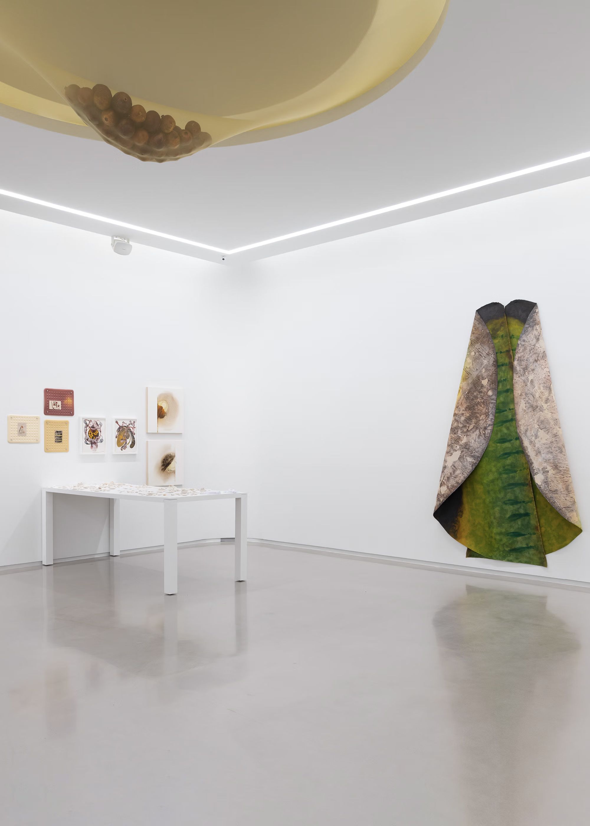An installation view of In an effort to be held