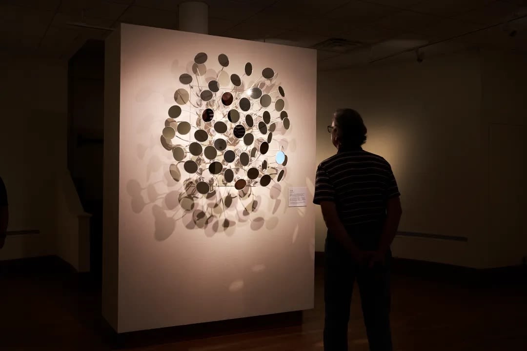 A person viewing a sculpture on the wall