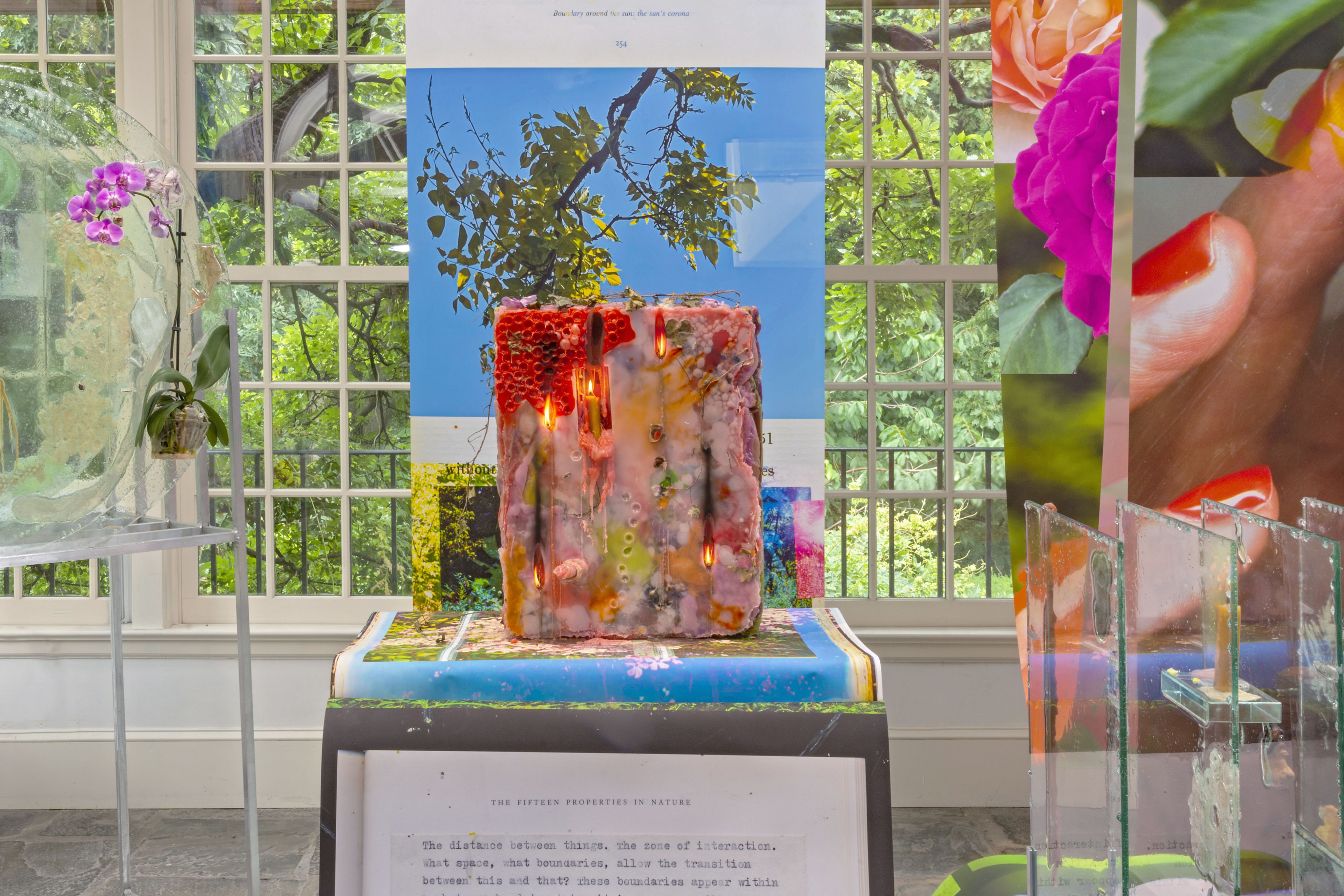 A gallery space with colorful botanical prints and candles