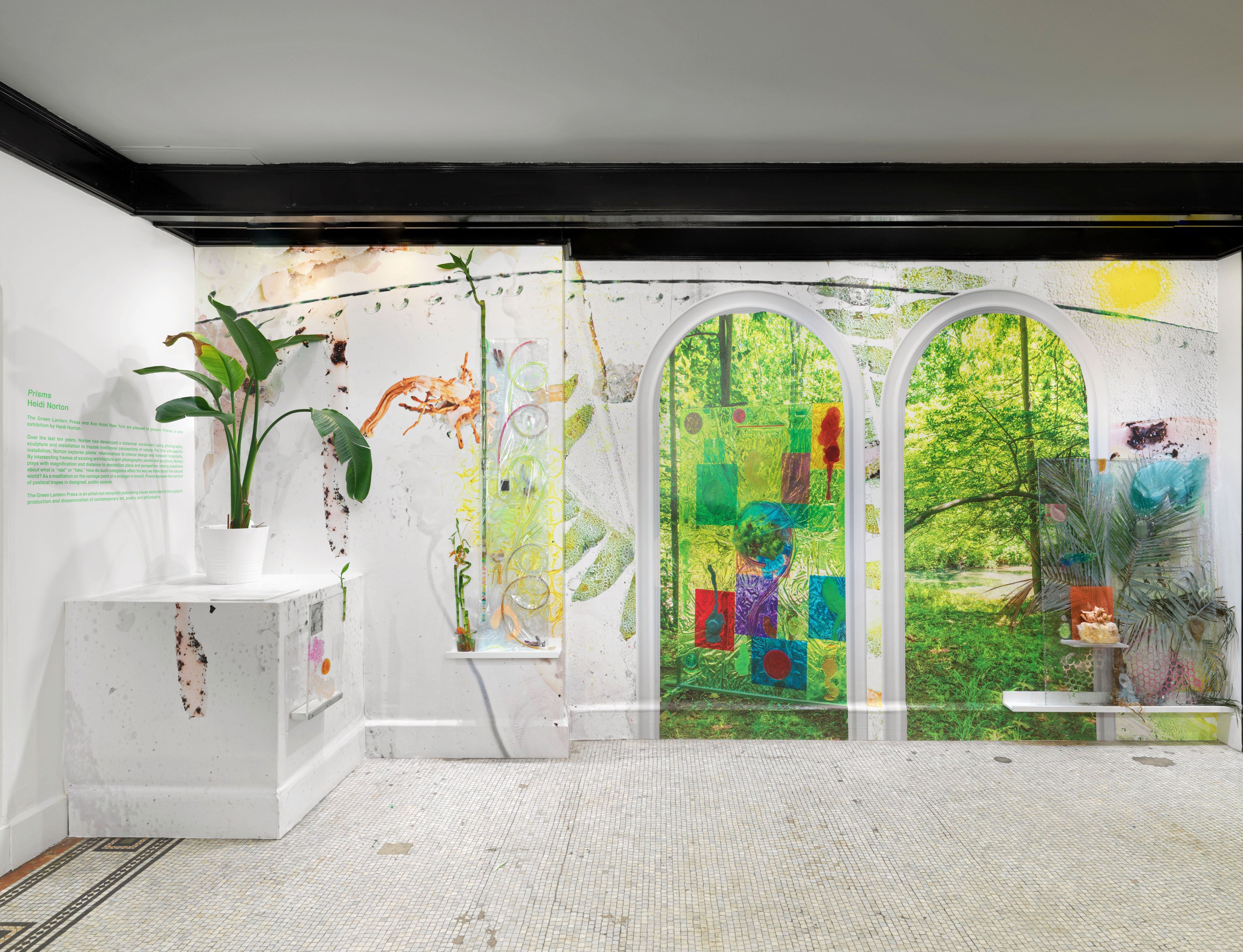 A white gallery space with plants, prints, and photographs of a forest