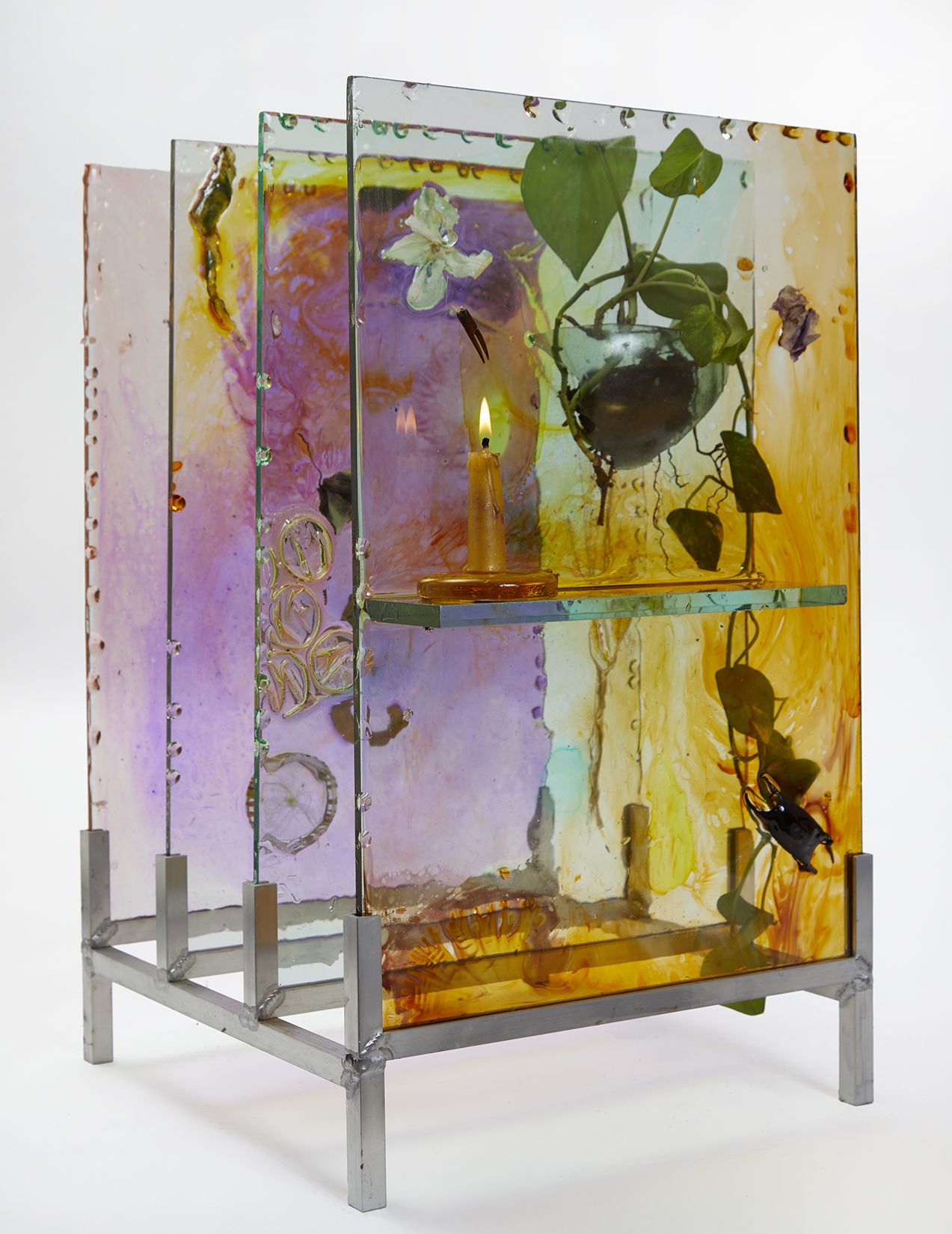 Four glass frames with plant life pressed between