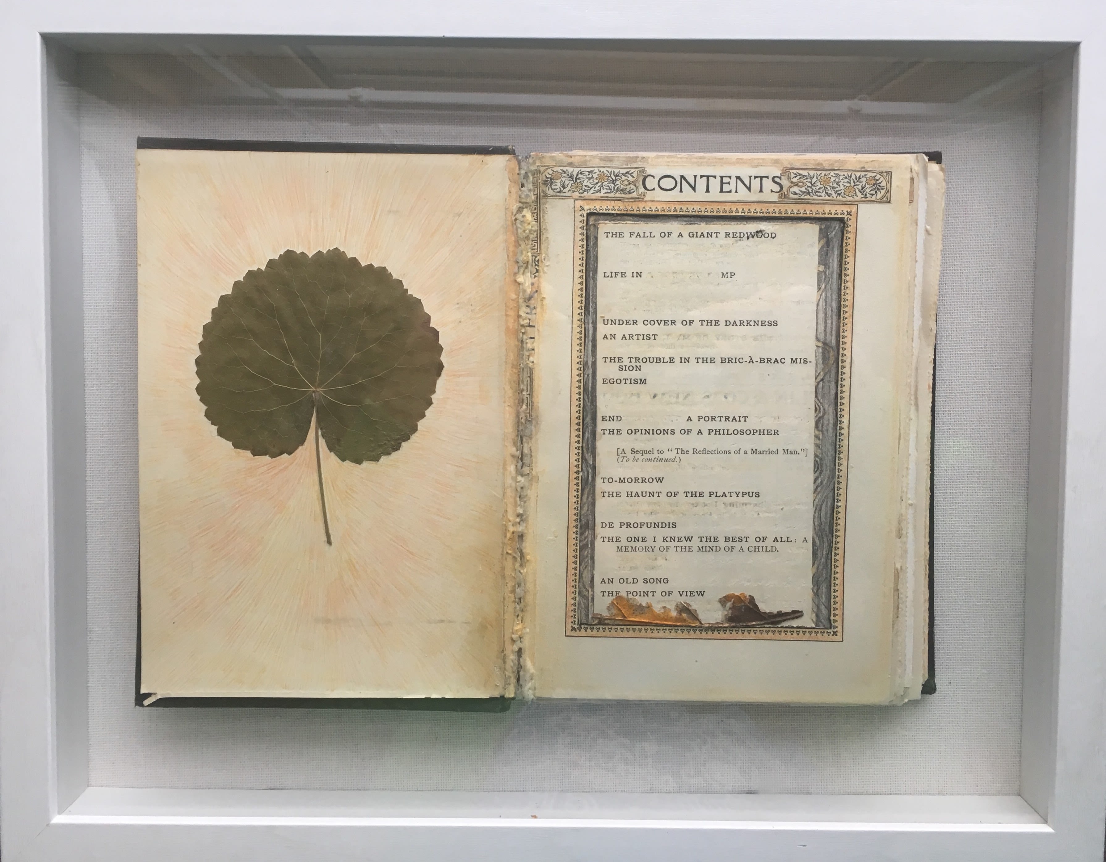 A book with a pressed leaf and a table of contents