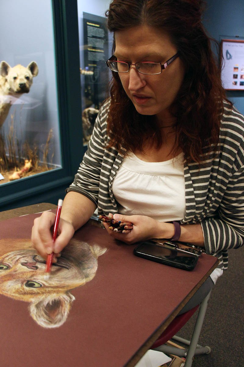A woman in glasses and a striped cardigan sketches the phase of a lion in front of a taxidermy museum exhibit