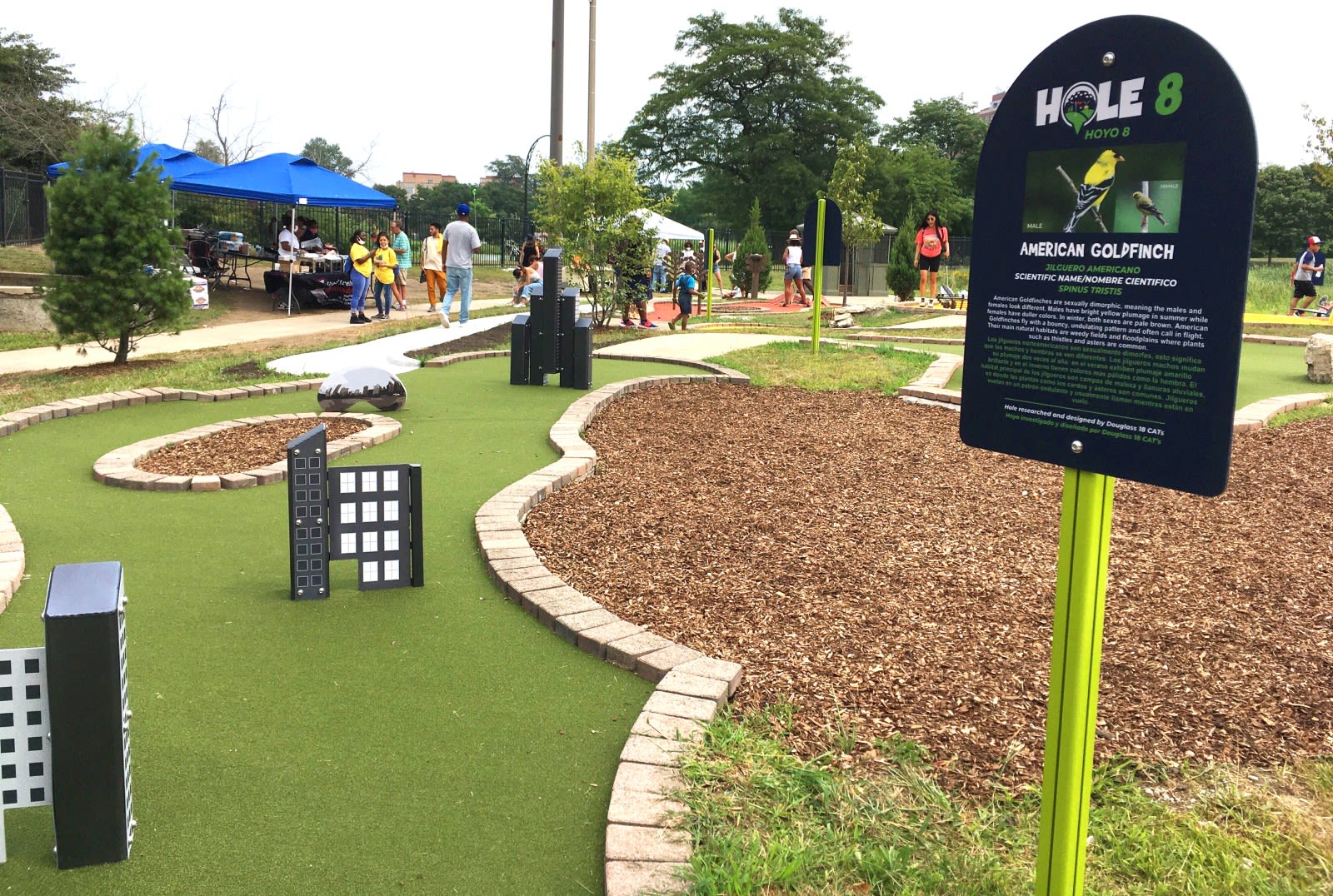 Image of Hole 8 at Douglass 18 mini-golf course. There are small sculptures of buildings on the green and to the right there is a sign about the American Goldfinch.