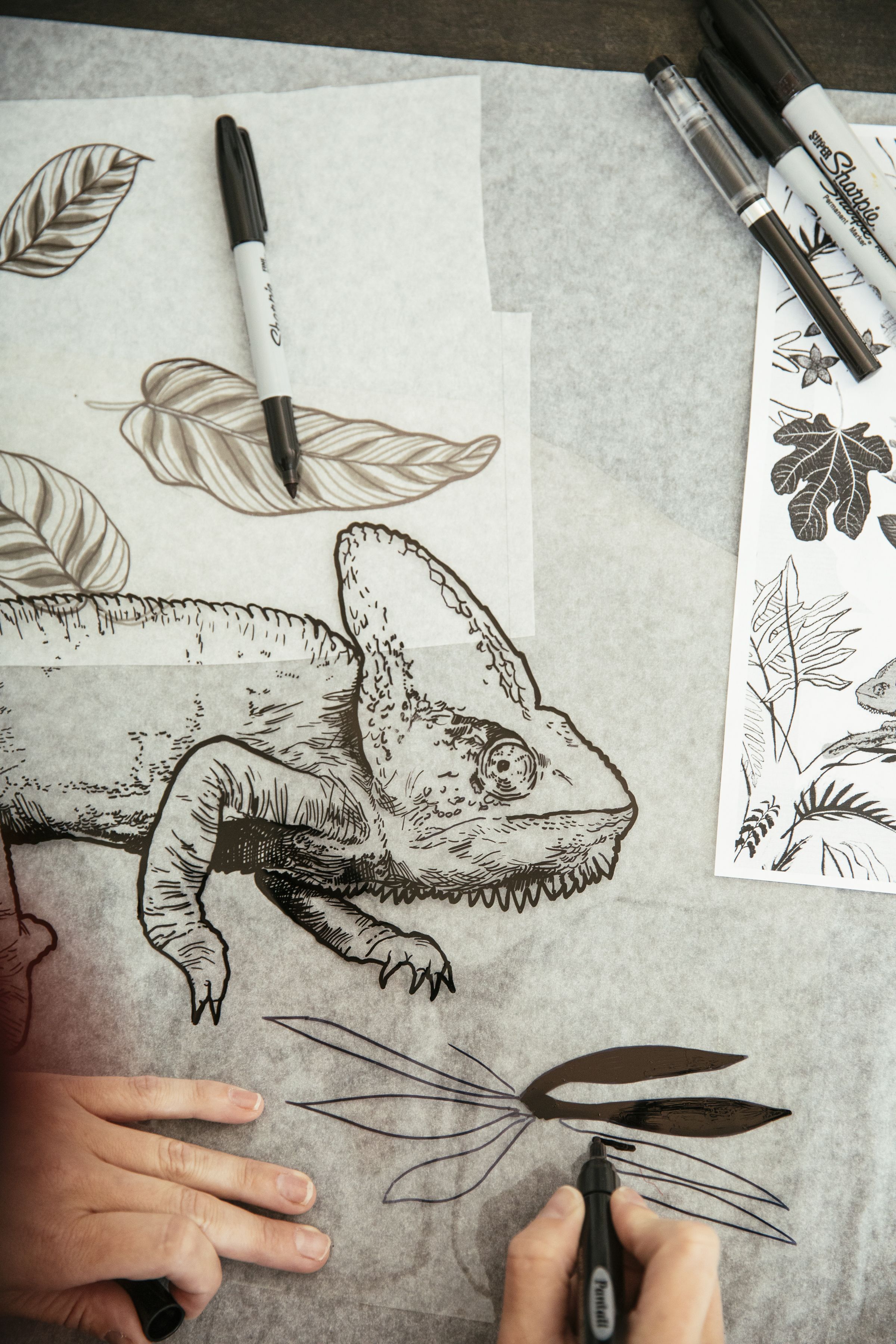 A close-up of Minckley drawing an Iguana and plants