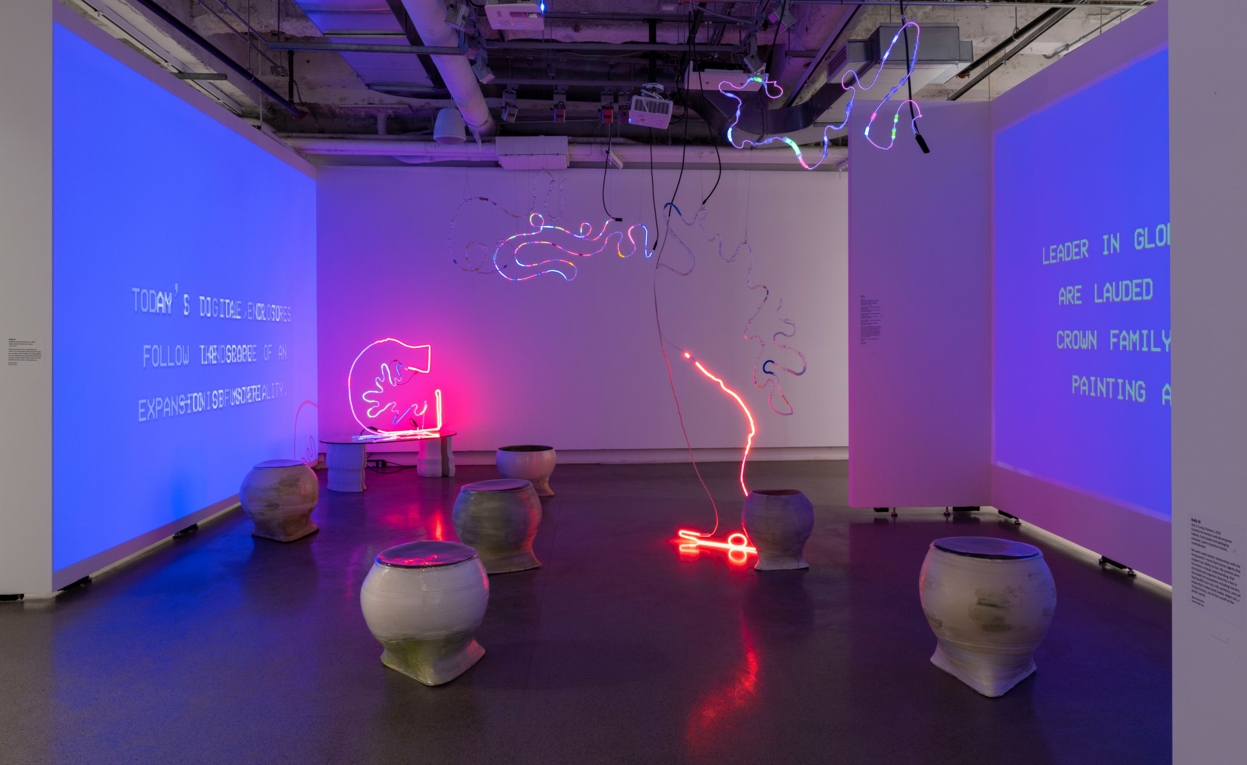 Several neon sculptures, earthen sculptures, and words on a wall.