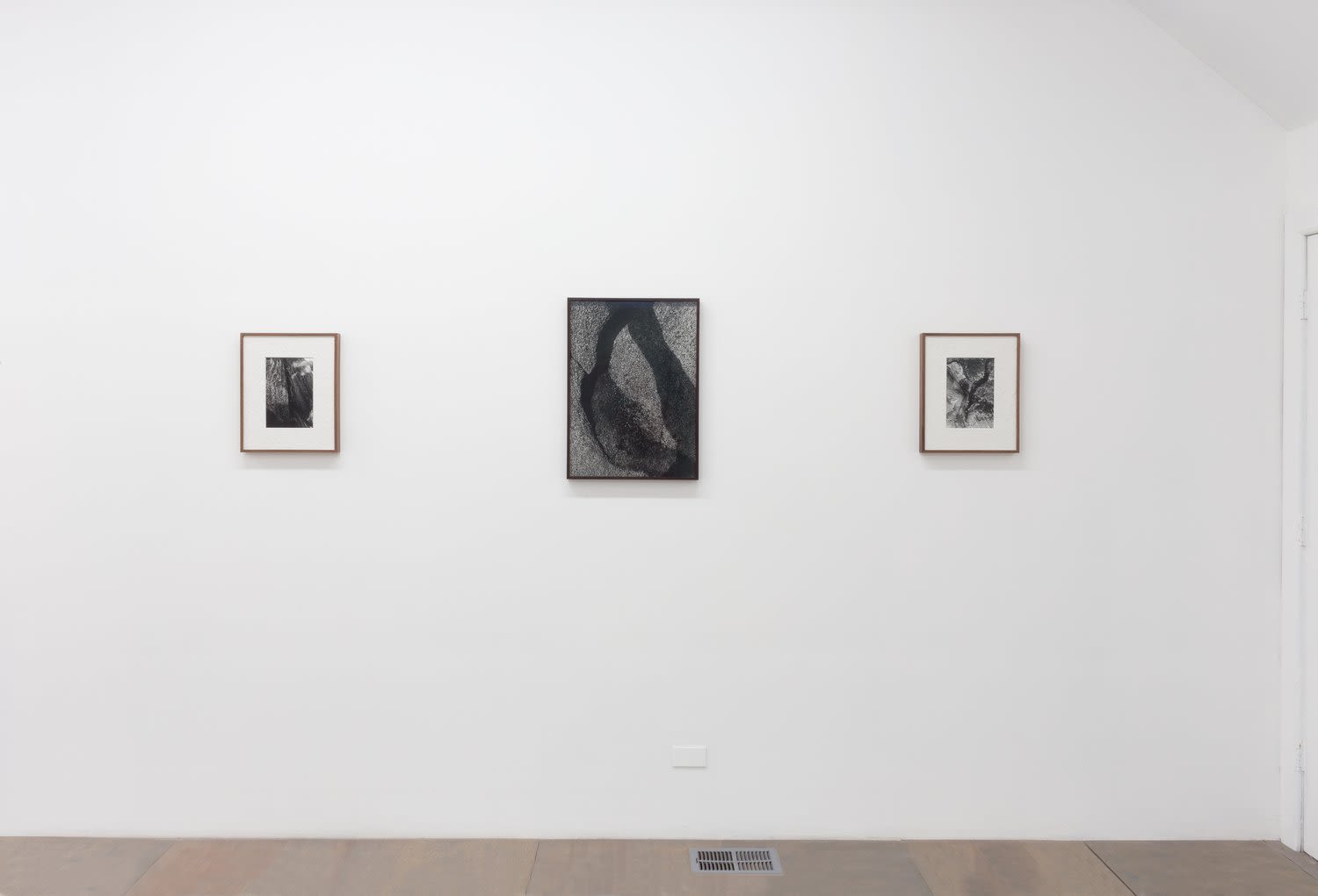 Three canvases on a wall