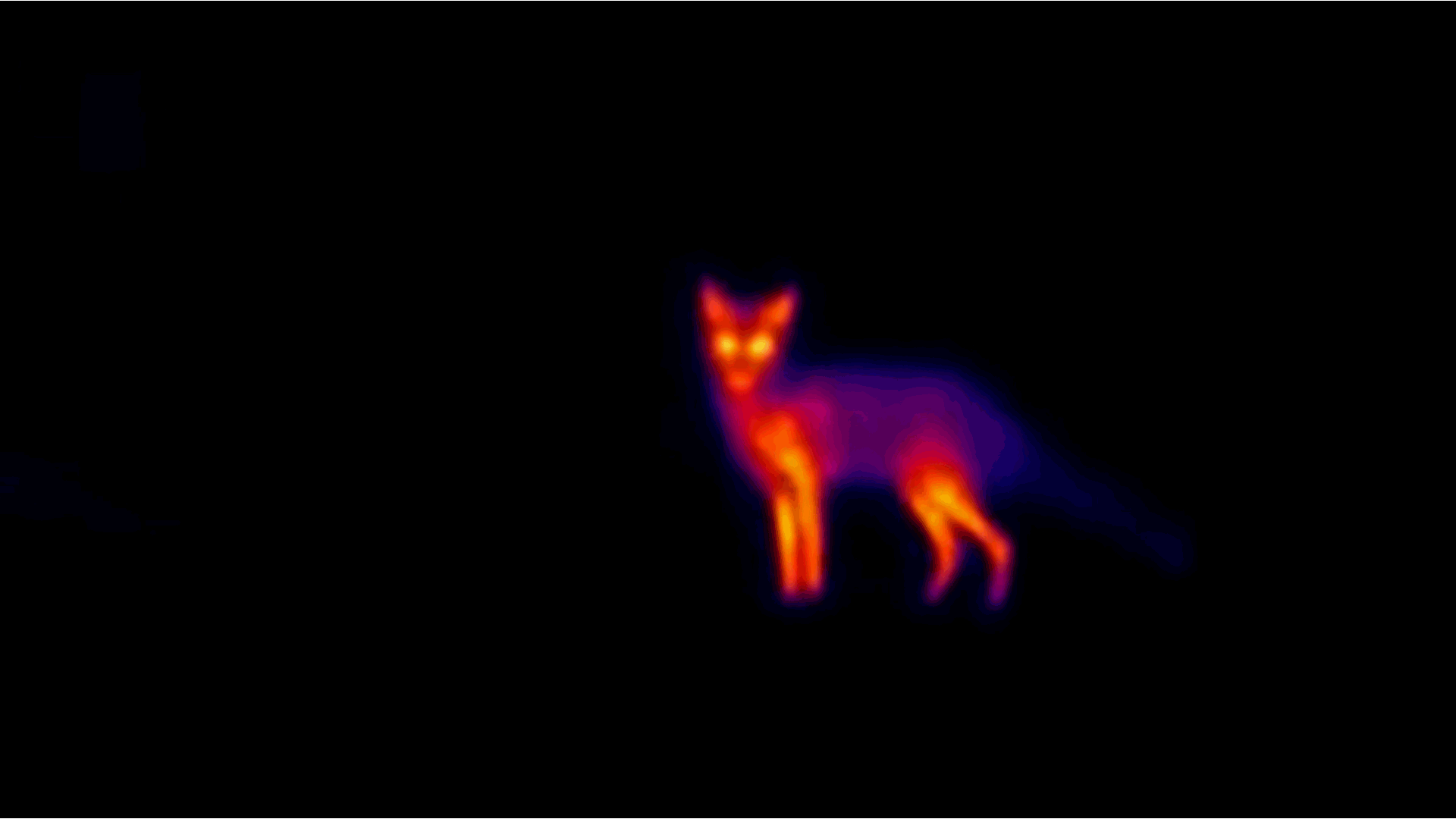 A coyote-like shape is illuminated in the dark