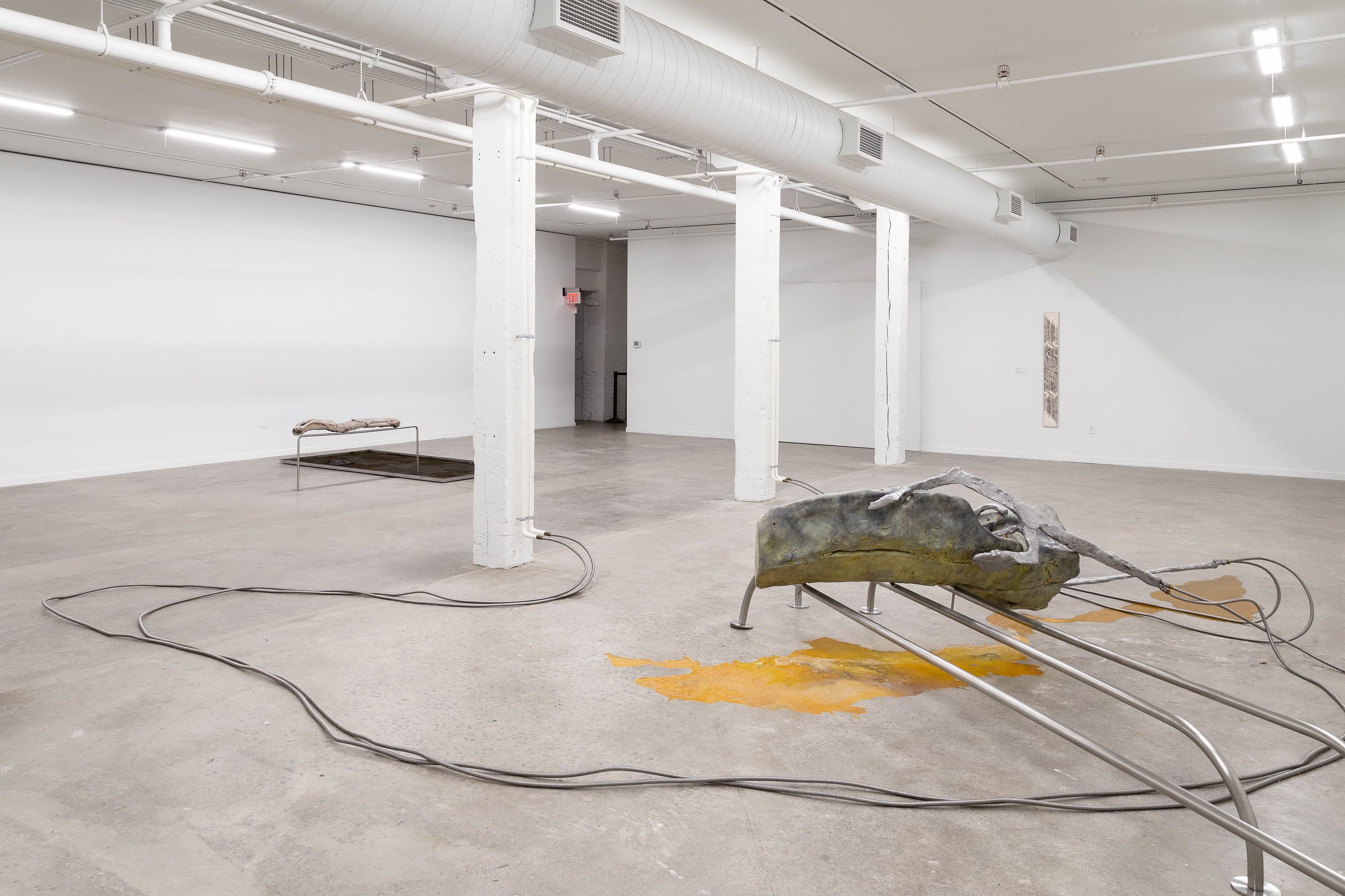 Installation of art space.
