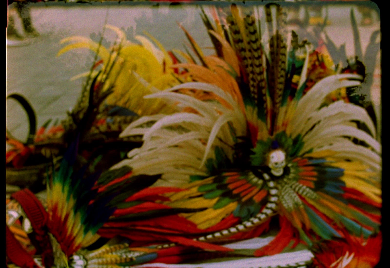 A still containing large colorful feathers arranged around a small skull