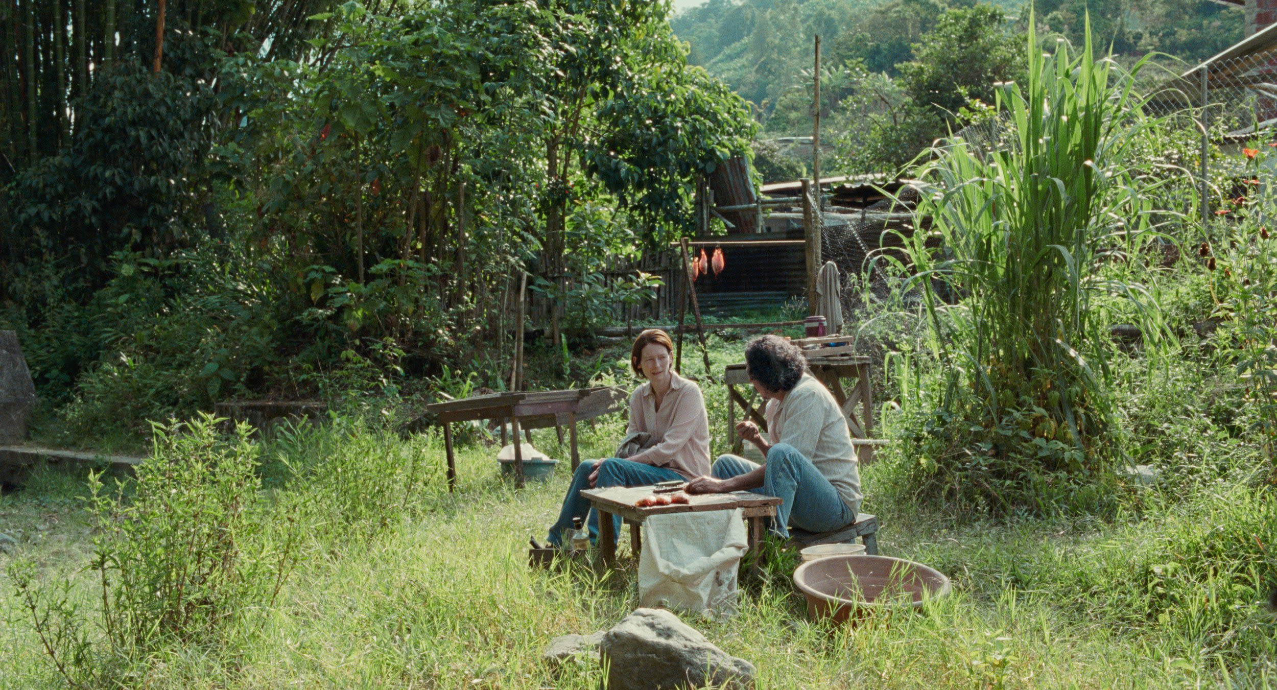 Two people sitting in the center of a heavily vegetated area. A table is between them. In the background there are wooden structures