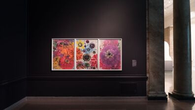 Three framed paintings of flowers and butterflies against a black gallery wall
