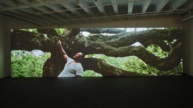 An installation view of 'Monuments' curated by Hamza Walker.