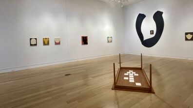 Look a Little Longer: The Art and Practice of SAIC Alum Alice Tippit