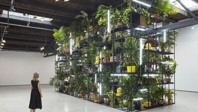 Reviews Soar for Rashid Johnson's New Exhibit  