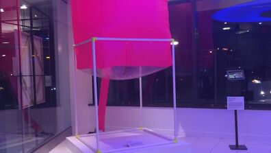 Awards Given to Emerging Young Artists from SAIC