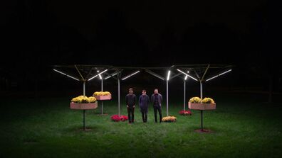 Students Create Light Installation in Homan Square Park