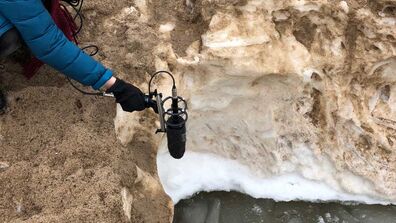 Alum Katie Wood Sounds Climate Change in Antarctica 