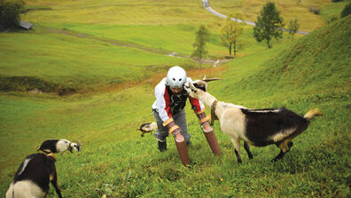“Goat Man” Thomas Thwaites Talks about Life as a Goat