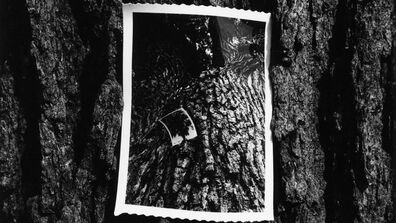  Kenneth Josephson: The Man Who Pioneered Contemporary Photography and the Selfie