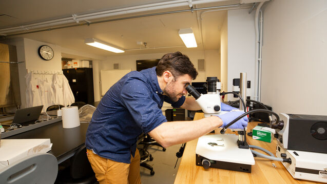 A student using a microscope in a lab. 