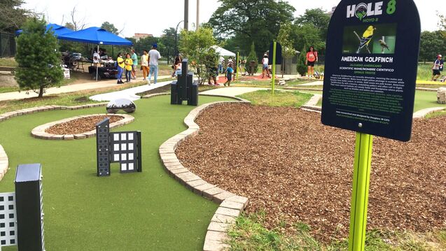 Minigolf course