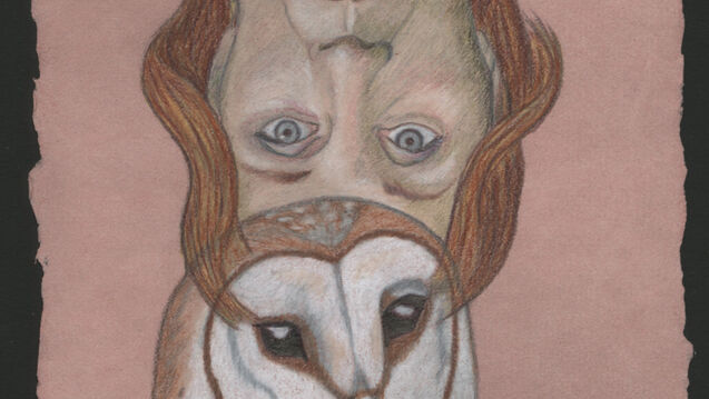 An illustration of an upside down woman and owl merging forms