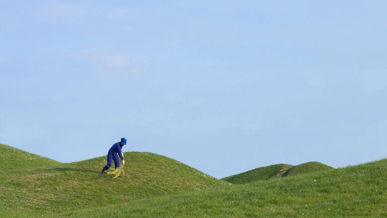 A person wearing royal blue sweeping a branch on a grassy hill. 