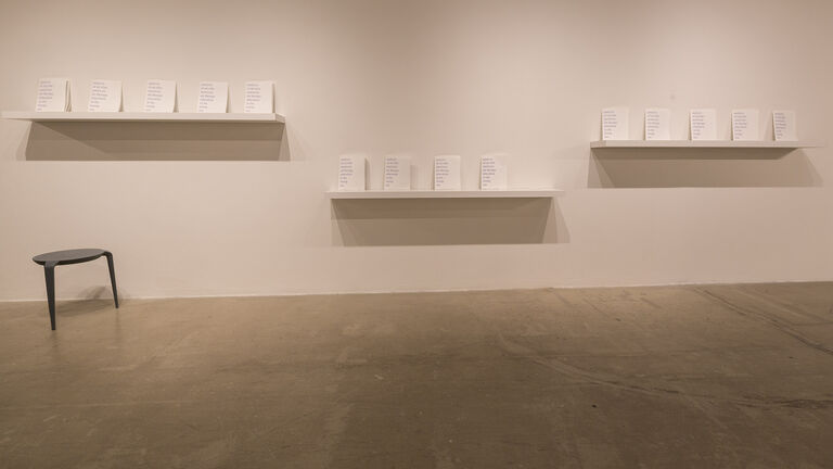 An image of three shelves, each with various small books in a gallery space. 