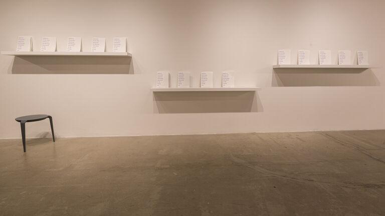 An image of three shelves, each with various small books in a gallery space.