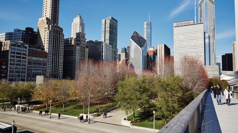 Chicago skyline from Millenium park