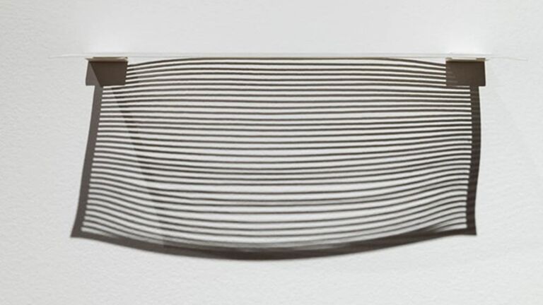 Work by SAIC faculty member Nancy Fleischman.