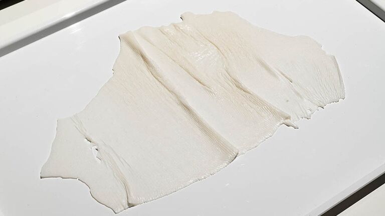 Work by SAIC faculty member Nancy Fleischman.