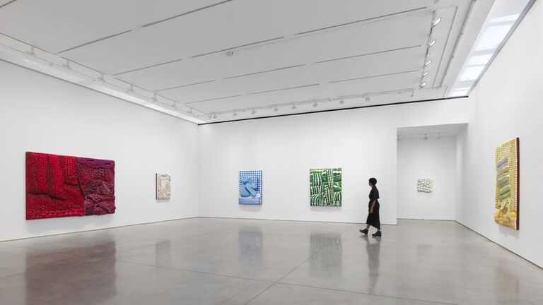 An installation view of Gina Beaver's work