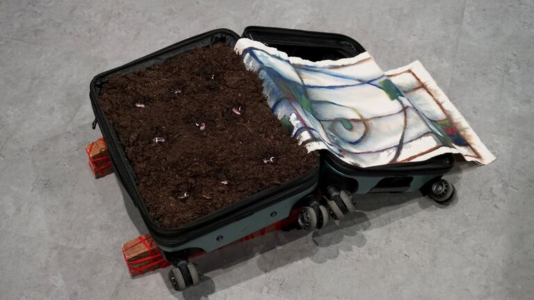 An open hard-sided suitcase lying flat on a concrete gallery floor, its base filled with dark soil containing small pink scarlet runner bean sprouts. The lid holds a painted canvas with fluid blue, white, and green brushstrokes. Small bundles of wood prop up the suitcase's corners.