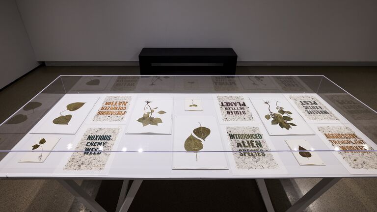 Artwork by Ginger Brooks Takahashi, 2026 Low-Residency MFA Thesis Exhibition.