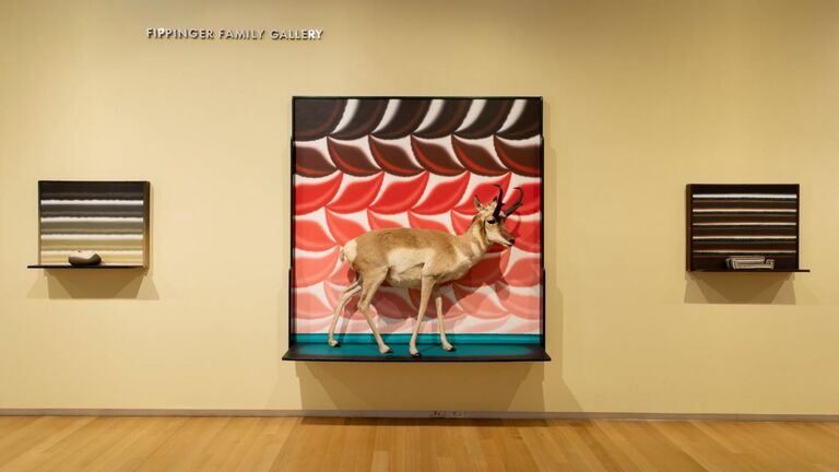 Roger Brown: Virtual Still Lifes via Museum of Arts and Design; Jenna Bascom