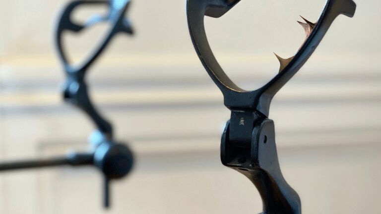 Stirrup assembly of gynecological table adorned with hand-trimmed thorns