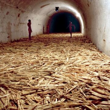 A large, dark tunnel with sugar cane on the ground and a few people standing towards the end of the tunnel. 