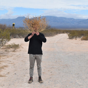A person standing in the desert with a shrub in front of their face