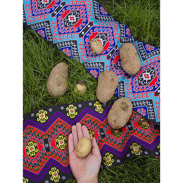 Potatoes on top of colorful fabric