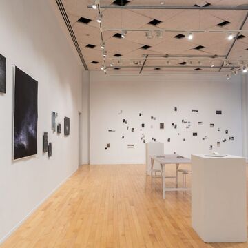 Interior of a gallery space