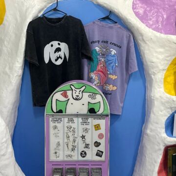 internal view of Sheep Cult Comics
