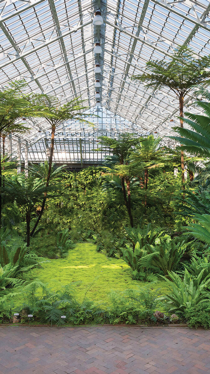 An image of the Garfield Park Conservatory.