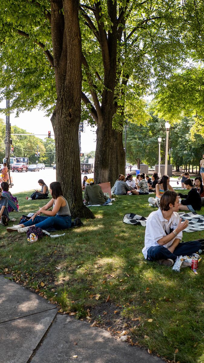 A group of students congregating on the grass in front of the 280 building