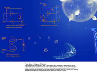 Diagram of an jellyfish-like organism's nervous system by Anders Nereim