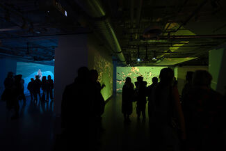 Perspective showing two groups of installation viewers, one in a room of blue projections and the other in green