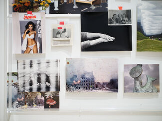 Various portraits and subjects displayed on a blank wall. 